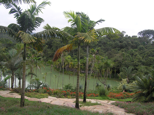 inhotim-park-2-k.jpg
